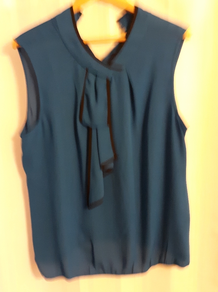 Blue sleeveless top with front ruffle